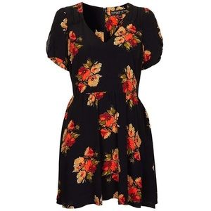Topshop Tea Dress